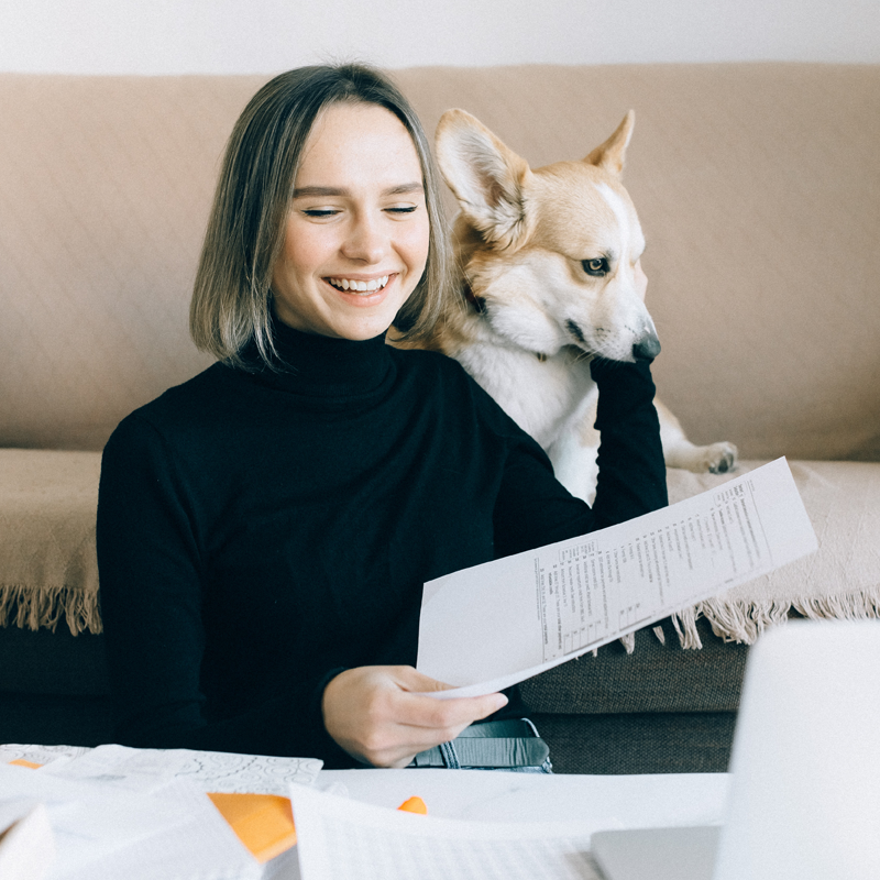 Report Cards for Modern Dog Training and Daycare Businesses